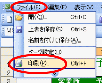 �G�N�Z���E�u�b�N�S�́i�����V�[�g�j����Q